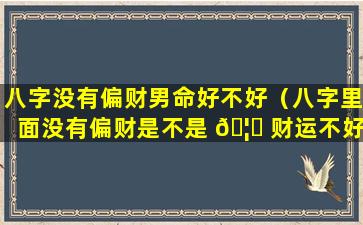 八字没有偏财男命好不好（八字里面没有偏财是不是 🦟 财运不好 🐯 ）